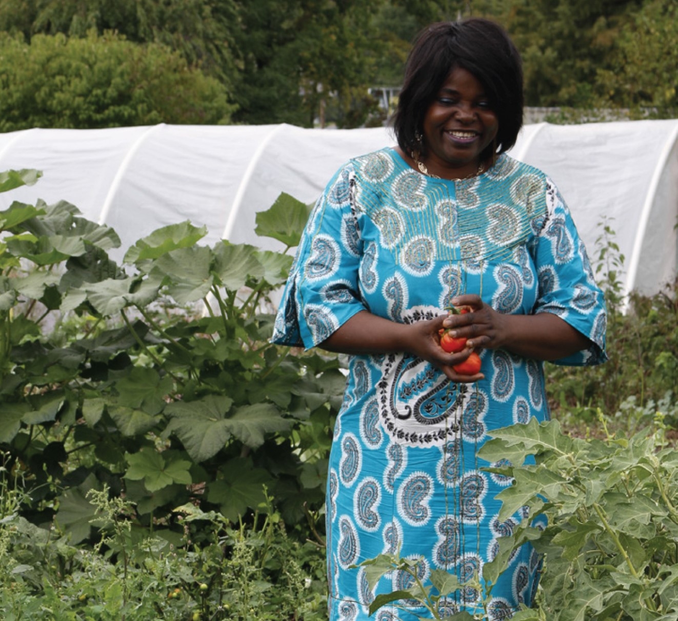 A woman standing in field holding tomatoes.