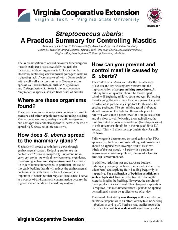 Cover of Streptococcus uberis:  A Practical Summary for Controlling Mastitis