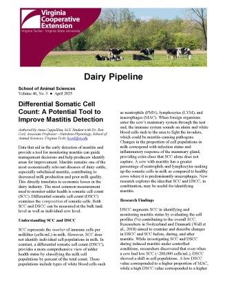 Cover page of the publication.