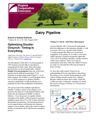 Cover page of the publication.
