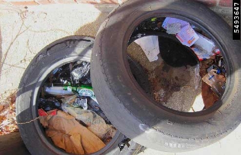 Figure 2, A pair of discarded tires filled with trash and probably standing water.
