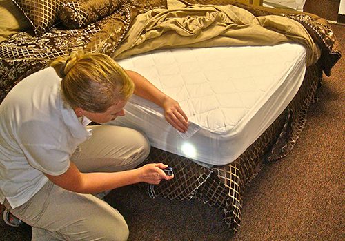 picture of a person checking a mattress