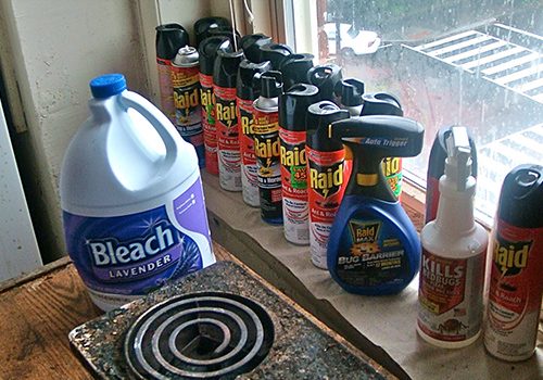 picture of bleaches and insecticides
