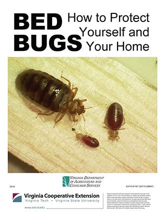 Bed Bugs How To Protect Yourself And Your Home Vce Publications Virginia Tech