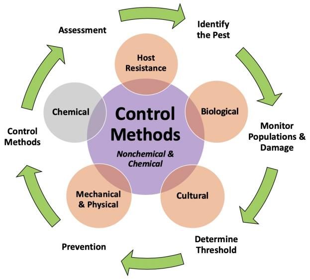 A large circle labeled Control Methods with five small circle surrounding it labeled host resistence, biologial, chemical. mechanical and physical, and cultural.  Six arrows surround the circles with management tactics listed, assessment, identify the pest, monitorpopulations and damage, determine threshold, and prevention.