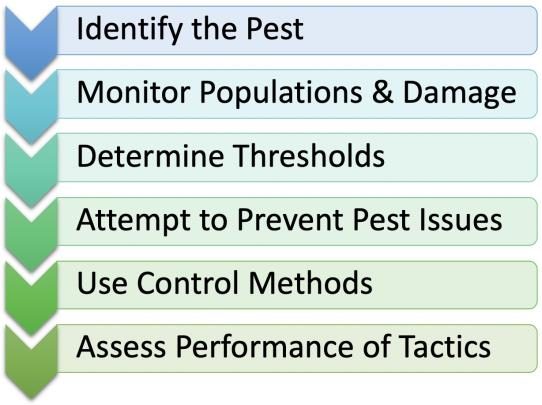 Figure 1. Graphic shows the components of an IPM program, which are as follows: identify the pest; monitor populations and damage; determine thresholds; attempt to prevent pest issues; use control methods; and assess performance of tactics.