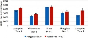 One bar graph showing the value of yield on y-axis and five locations on x-axis comparing farmore treated and non-treated field