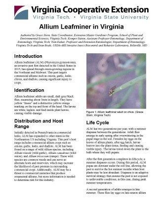 Cover page of the publication.