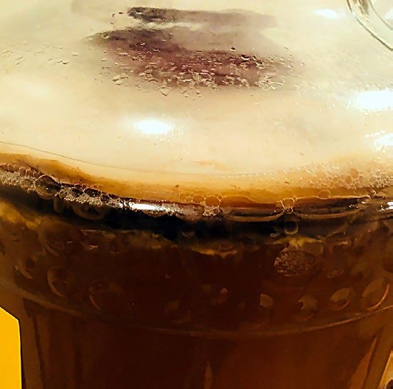 a close-up photo of SCOBY on top of kombucha