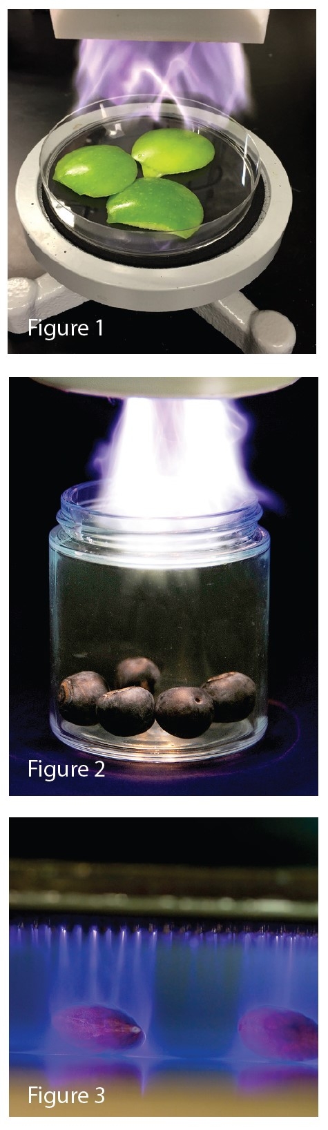 Fig 1 Green apples being processed by cold plasma. Fig 2 Blueberries being processed by cold plasma. Fig 3 Almonds being processed by cold plasma.