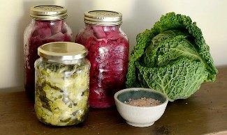 Canning jars of pickled sauerkraut, a head of green cabbage, and a small bowl of canning salt.
