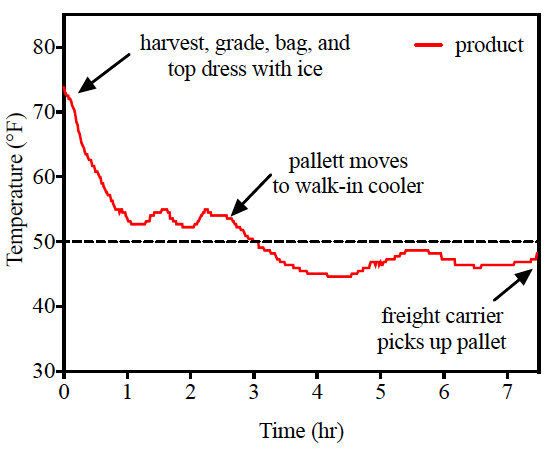 line graph showing internal oyster temperatures during on-farm processing
