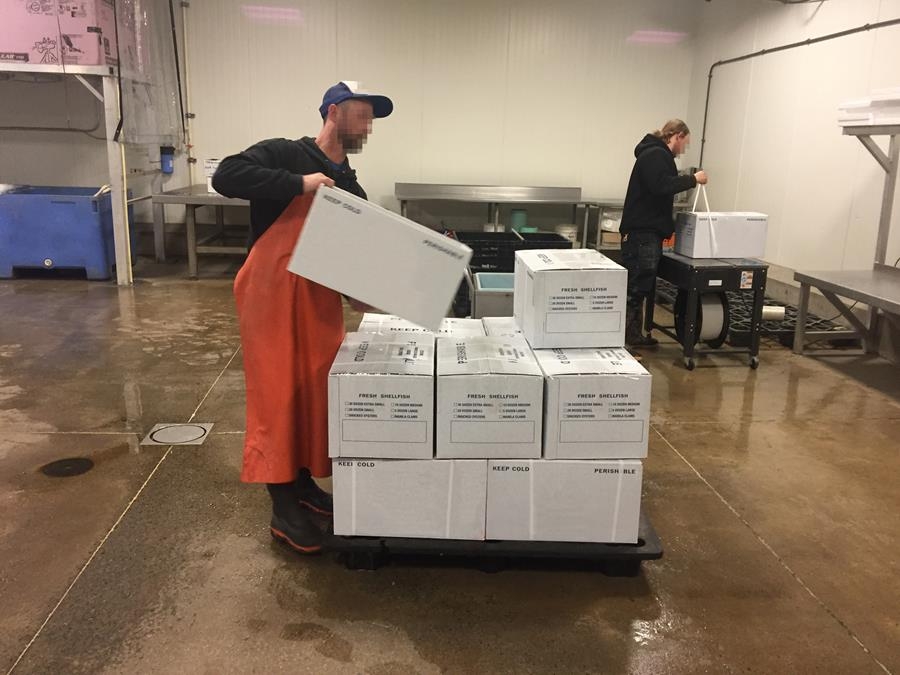 photo of a man holding stacking boxes in seafood distribution