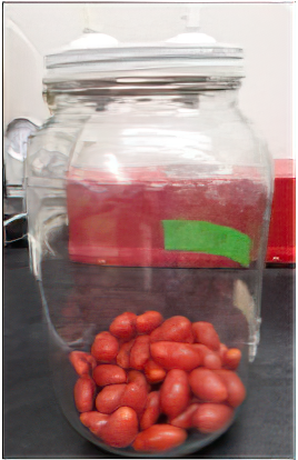 Photograph of grape tomatoes in a sealed glass jar. 