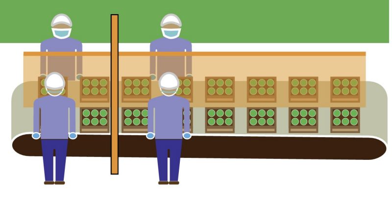 an illustration of workers standing at a belt conveyor with front and side barriers, wearing masks .