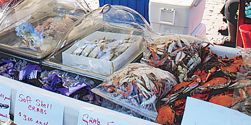 A variety of fish and crabs on ice, covered with plastic lids. Hand-written signs identify each item and provide price information.