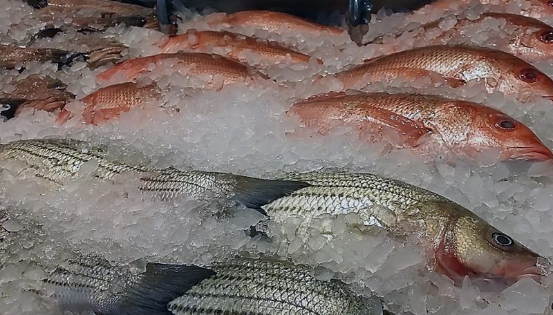 A display of whole fish on ice.