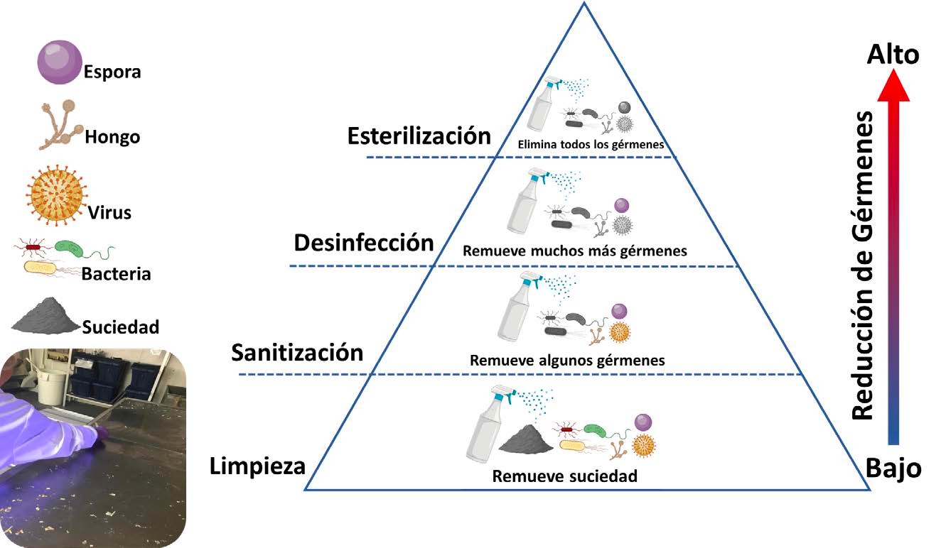 Una gráfica de forma pirámide que detalla el nivel de reducción de gérmenes como resultado de la limpieza (de bajo a alto), sanitización, desinfección y esterilización (reducción total)
