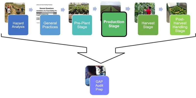 Figure 1. Flow chart showing the different pieces of the series with 6 colored boxes and names of each part, that point to GAP audit preparation box. The fourth box for the production stage is highlighted.