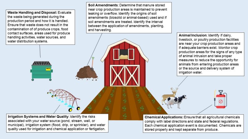 Figure 2. A farm showing a dumpster, compost pile, overhead irrigation system, pesticide sprayer, and animals (deer and a cow). Descriptive text boxes describe how to perform risk assessments on how waste is handled, the use of soil amendments, animal intrusion, irrigation systems and water quality, and chemical applications.