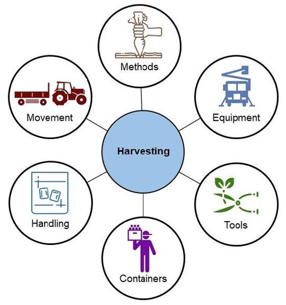 Figure 2. Diagram showing components of harvesting including methods, equipment, tools, containers, handling, and movement.