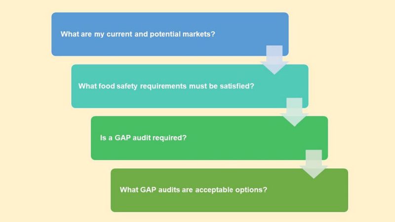Figure 2. Simple flow diagram showing the primary questions that are important to consider and discuss with buyers in order to determine their food safety requirements. The questions include: What are my current and potential markets?; What food safety requirements must be satisfied?; Is a GAP audit required?; and What GAP audits are acceptable options?