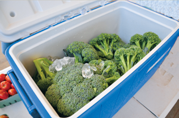 a photo of broccoli in an ice box