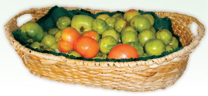 Basket with lined with dishtowels and tomatoes on them
