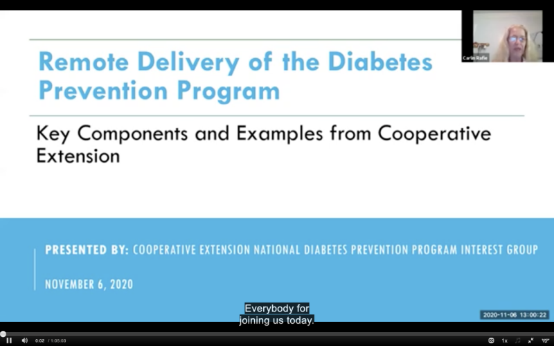 Cover for publication: Remote Delivery of The Diabetes Prevention Program: Key Components and Examples from Cooperative Extension