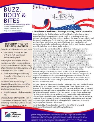 Cover page of the publication.