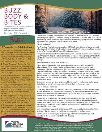 Cover page of the publication.