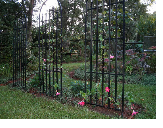 Black arched trellises with pink flowers at the base.