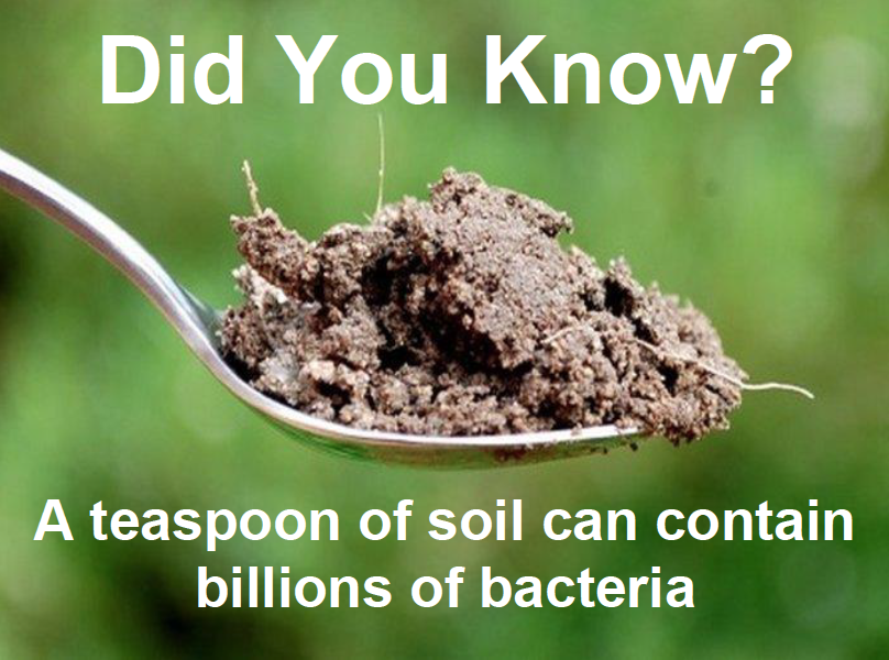 a photo of a teaspoon containing soil. It say "Did you know? A teaspoon of soil can contain billions of bacteria
