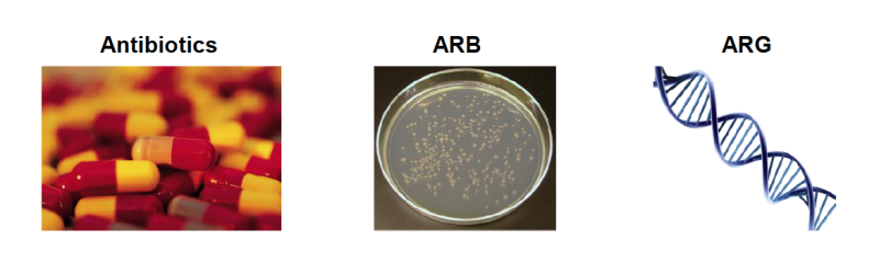 three images of Antibiotics, ARB, and ARG