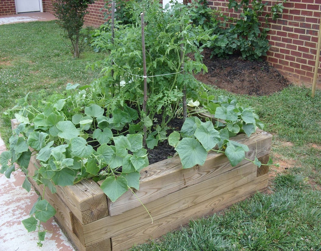A low raised bed made of wood outside and in front of a brick wall.