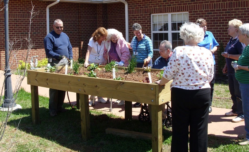 A group of adults standing around an elevated bed containing plantings.