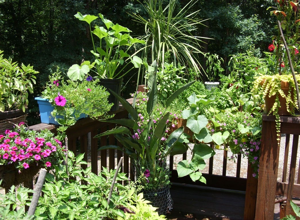 A container garden of a variety of green plants and pink flowers.