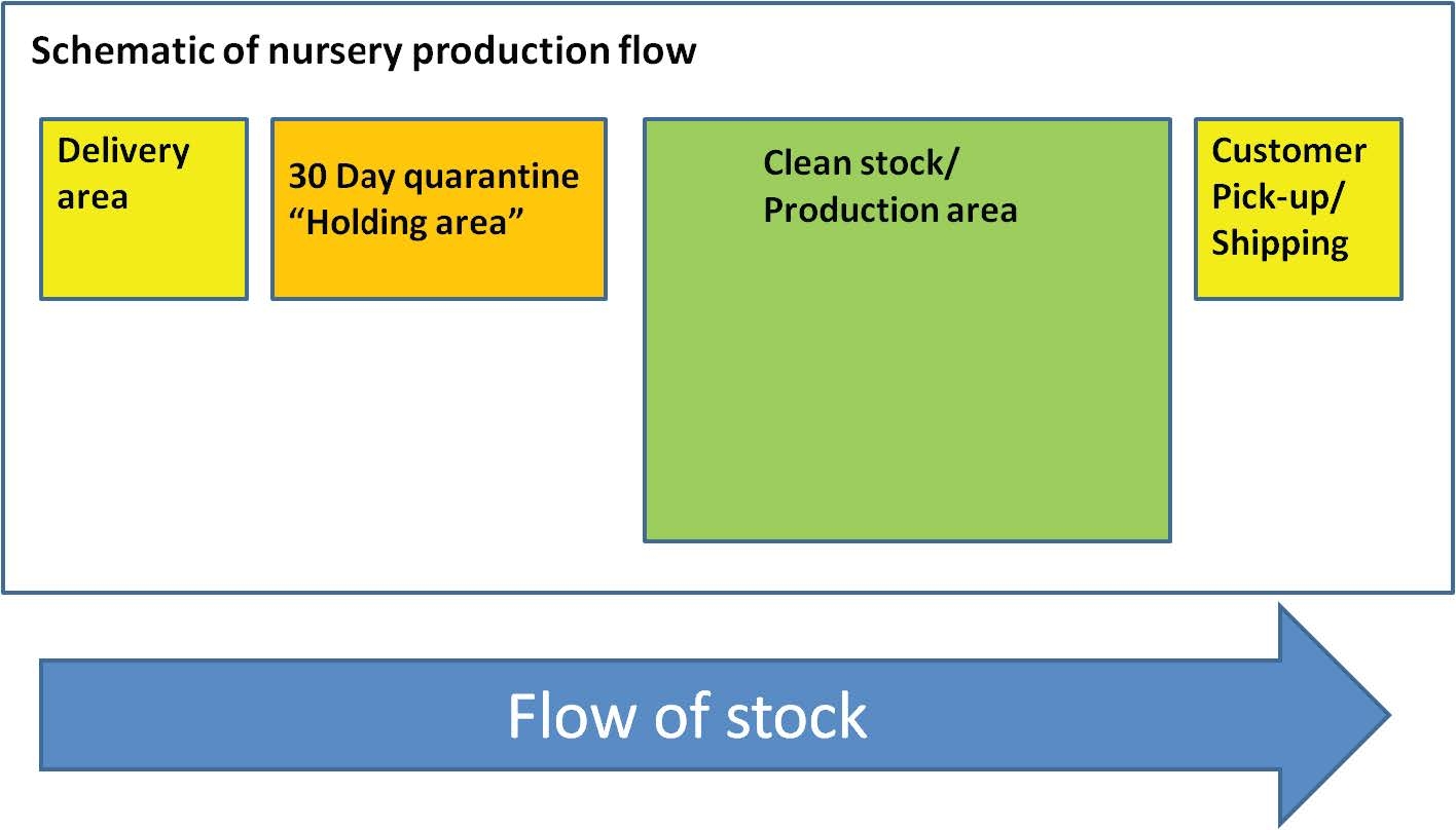 Schematic of nursery production flow