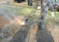 a photo of a person burning leaf debris 