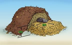 illustration of compost pile.