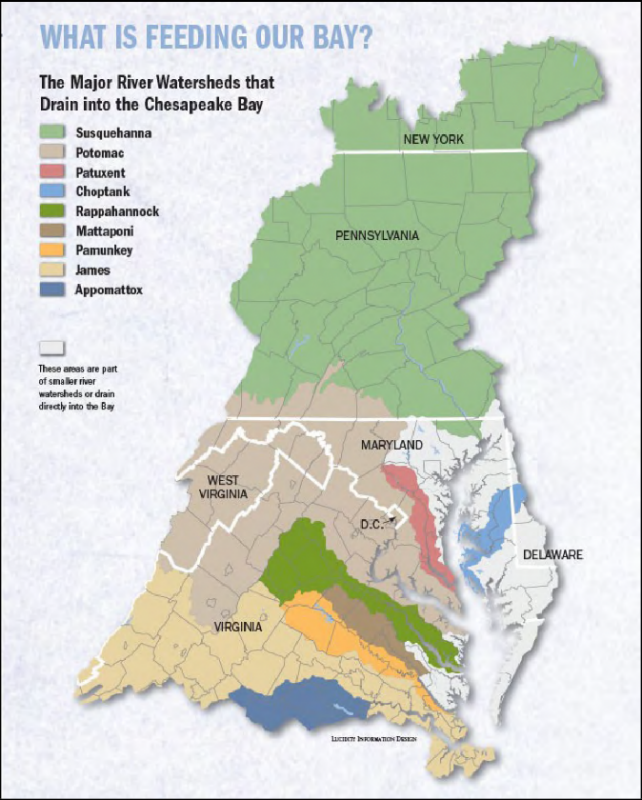 A map showing the major river watersheds that drain to the Chesapeake Bay. These include: the Susquehanna in New York and Pennsylvania, the Potomac in Maryland, West Virginia, D.C., and Virginia, the Patuxent in Maryland, The Choptank in Maryland and Delaware, the Rappahannock, Mattaponi, Pamunkey, James, and Appomattox in Virginia.  Source: Chesapeake Bay Foundation.