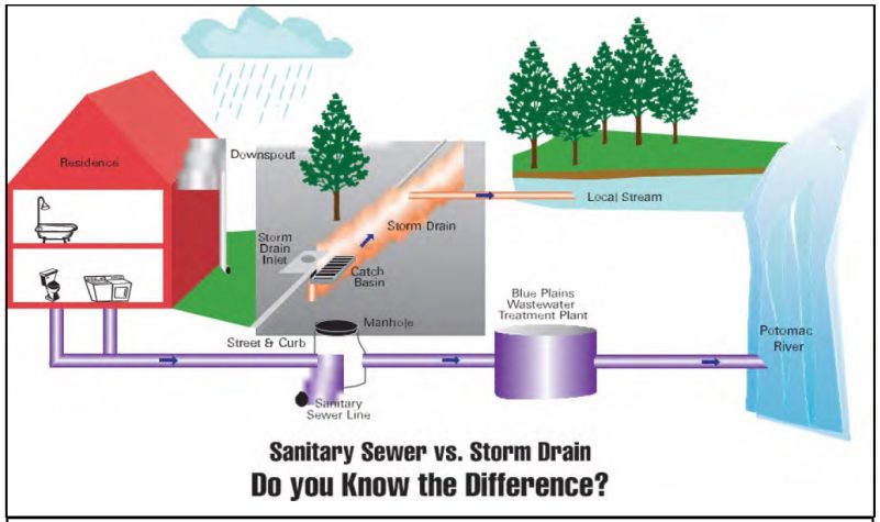 A graphic of sanitary sewer versus a storm drain system.  A sanitary sewer line flows from a house to a line in the street then to a wastewater treatment plant before being discharged into a nearby waterway.  A storm drain line flows from a drain in the street directly into a nearby waterway.  Source: City of Rockville 2014.