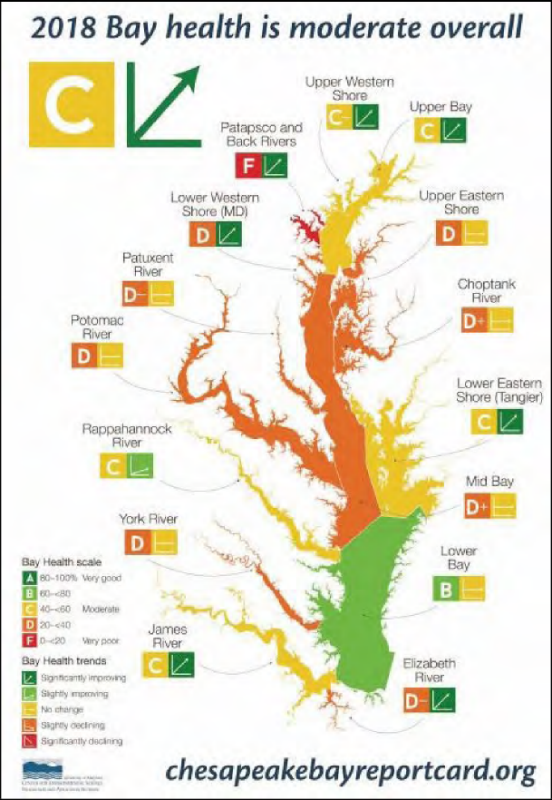 Shows the Chesapeake Bay Report Card 2018. The bay is color coded and assigned a letter grade and trend designation for each of 15 sections.  For example: the Potomac River section is graded D with no change while the Lower Eastern Shore section is graded C with significant improvement. Most of the grades are Cs and Ds. There are no A grades. The only B is for the Lower Bay. The Patapsco and Black Rivers section is graded F. Source: University of Maryland Center for Environmental Science (UMCES).