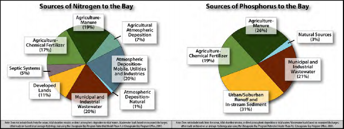Pie charts showing the sources of nitrogen and phosphorus in the Chesapeake Bay Watershed. The chart for nitrogen lists atmospheric deposition, mobile, utilities and industries at 20%, municipal and industrial wastewater at 20%, agriculture manure at 19%, agriculture chemical fertilizer at 17%, developed lands at 11%, agricultural atmospheric deposition at 7%, septic systems at 5%, and atmospheric deposition natural at 1%. The chart for phosphorus lists urban/suburban runoff and in-stream sediment at 31%, agriculture manure at 26%, municipal and industrial wastewater at 21%, agriculture chemical fertilizer at 19%, and natural sources at 3%. Source: Chesapeake Bay Program, Question of the Week blog post, 12/11/09.