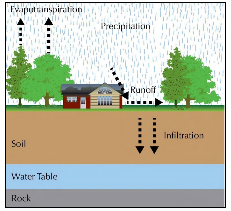A graphic showing a simplified hydrologic cycle of a residential lot. When precipitation falls it can move three ways.  First, it can move back into the atmosphere through evapotranspiration through plants, especially trees.  Precipitation can run off of impervious surfaces like roofs, and it can infiltrate into the soil, moving downward to recharge ground water sources. Modified from Source: What is a Watershed? Virginia Cooperative Extension Publication 426-041.