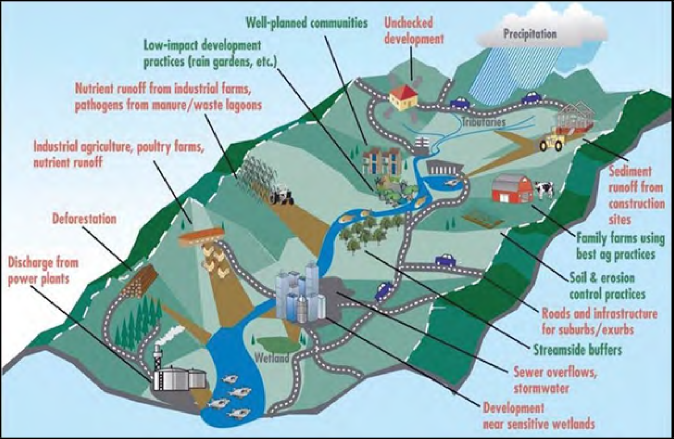 A graphic showing a watershed - an area of land that drains to a point, and influencing factors. Positive factors include: well-planned communities, low impact development (LID) practices like rain gardens, farms using best ag practices, soil and erosion control practices, and streamside buffers. Negative factors include: unchecked development, nutrient runoff from industrial, agricultural, and urban sources, sediment runoff from construction sites, sewer overflows, development of wetlands, deforestation, and discharge from power plants.  Source: Potomac Conservancy 2007.