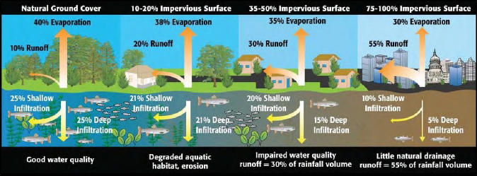 A graphic showing changes in infiltration, evapotranspiration, runoff, and water quality with increasing urbanization. Frame one shows natural ground cover with 40% evaporation, 10% runoff, 23% shallow and 25% deep infiltration and good water quality.  Frame two shows 10-20% impervious surface with 38% evaporation, 20% runoff, 21% shallow and deep infiltration, and degraded aquatic habitat and erosion. Frame three shows 35-50% impervious surface with 35% evaporation, 30% runoff, 20% shallow and 15% deep infiltration, and impaired water quality.  Frame four shows 75-100% impervious surface with 30% evaporation, 55% runoff, 10% shallow and 5% deep infiltration, and seriously impaired/degraded water quality. Source: EPA. Symbols courtesy of the Integration and Application Network (ian.umces.edu/symbols/), University of Maryland Center for Environmental Science. From “Potomac Conservancy State of the Nation’s River, 2008.”
