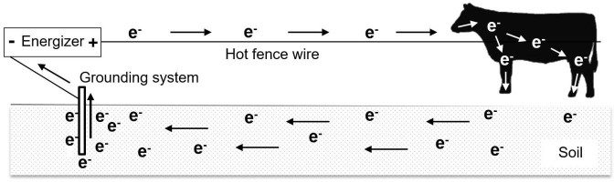 Diagram showing electron flow from a fence energzer to fence wire, through an animal to the soil, through soil into the grounding system and back to the energizer.