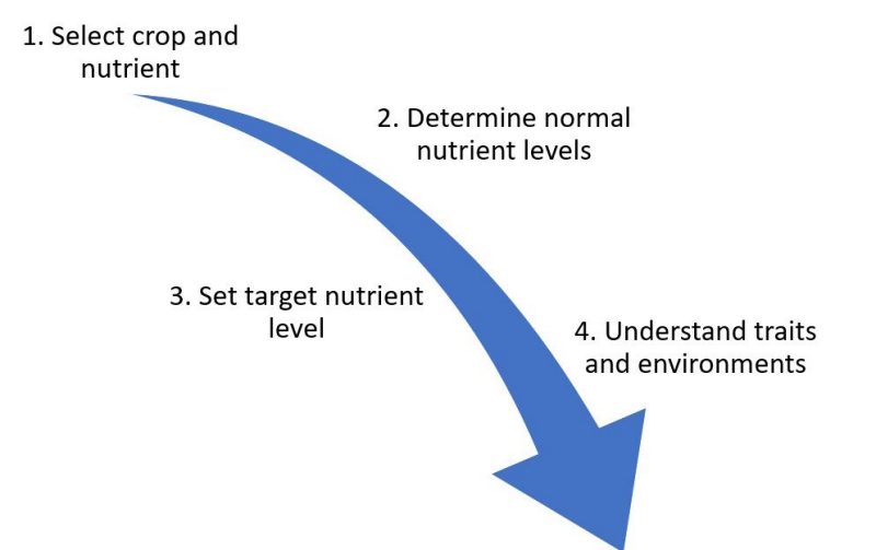 An arrow indicates five steps for plant breeders to improve nutrient levels.