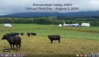 Cover for publication: Shenandoah Valley AREC Field Day 2020